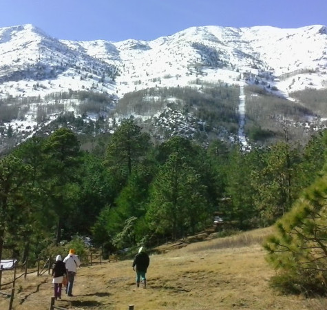 En invierno los paisajes nevados son comunes.